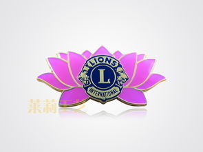 精品彩色烤漆徽章,外贸胸章工厂