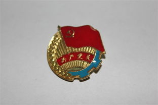 党团徽章