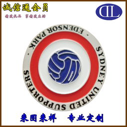 鼎霖供应仿珐琅工艺锌合金创意徽章 典 纪念章厂家价格 鼎霖供应仿珐琅工艺锌合金创意徽章 典 纪念章图片 鼎霖供应仿珐琅工艺锌合金创意徽章
